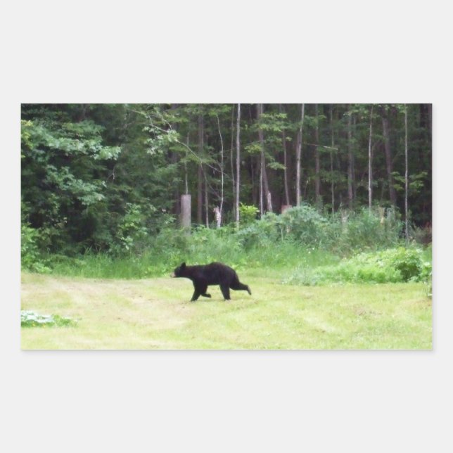 Vaters Black Bear Rechteckiger Aufkleber (Vorderseite)