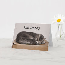 Vatertag Niedlich Tabby Cat Daddy