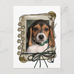 Vatertag - Steinpfähle - Beagle Welpe Postkarte