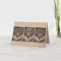 Vatertagskarte (schlafende Katze)