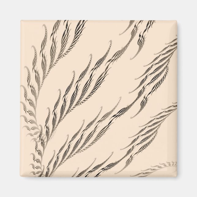 Vchira959 Magnet (Vorne)