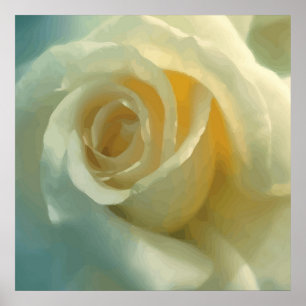 Vector White Rose Poster