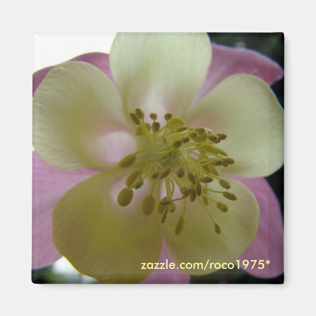 Veduta Magnet (Vorne)