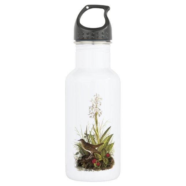 Veery von Audubon Trinkflasche (Vorderseite)