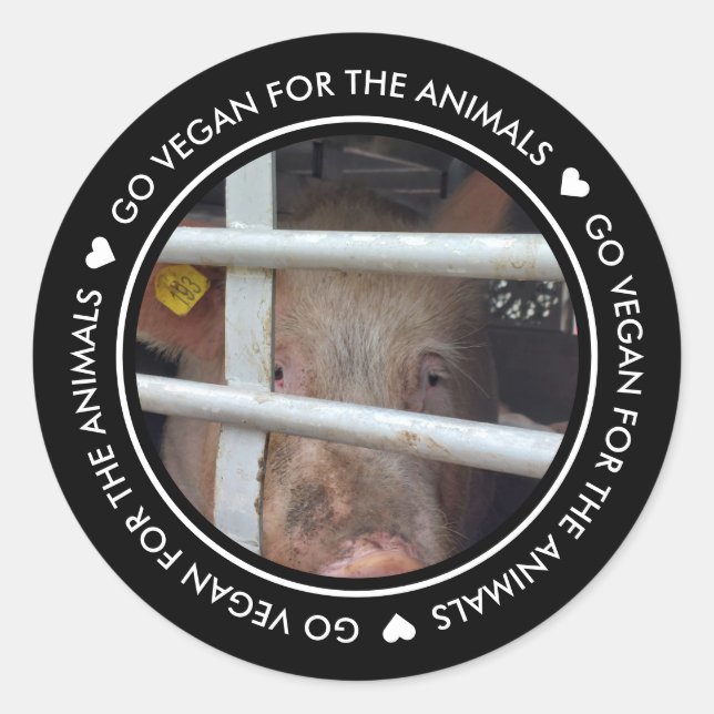 Vegan für das Schwarze Foto der Tiere Runder Aufkleber (Vorderseite)