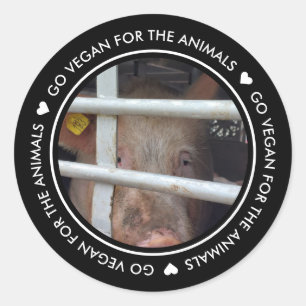 Vegan für das Schwarze Foto der Tiere Runder Aufkleber