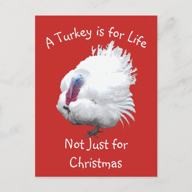 Vegane WeihnachtsTürkei Postkarte (Vorderseite)