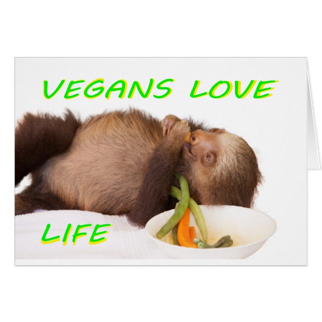 Veganer Liebe Leben, Slothie (Vorderseite (Horizontal))