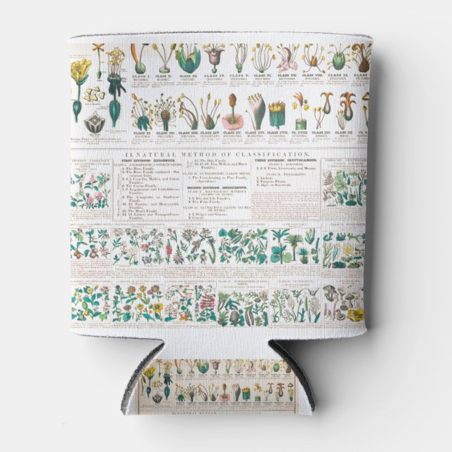 Vegetable botanical poster dosenkühler (Vorderseite)