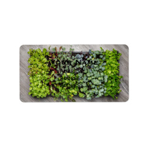 Vegetable Seedlings Adressaufkleber