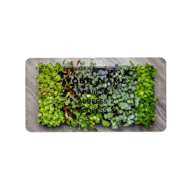 Vegetable Seedlings Adressaufkleber (Vorne)
