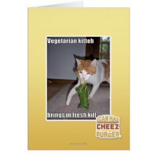 Vegetarian Kitteh