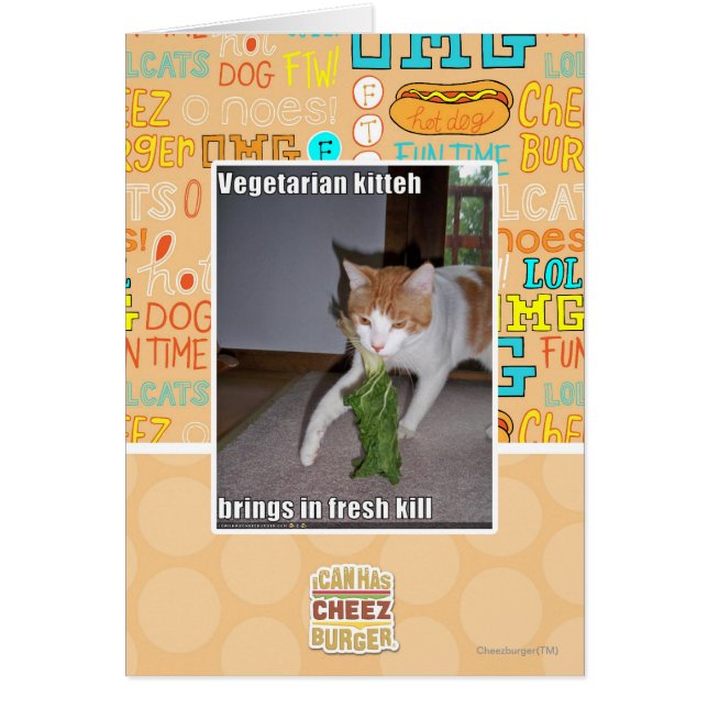 Vegetarian Kitteh (Vorne)