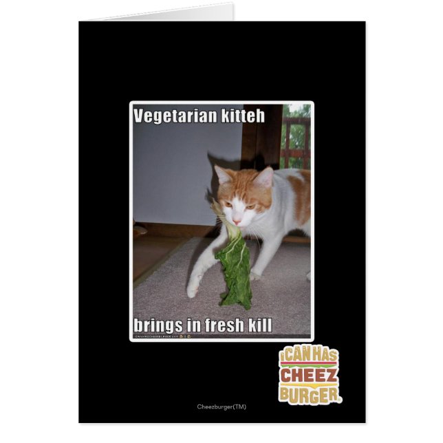 Vegetarian Kitteh (Vorne)
