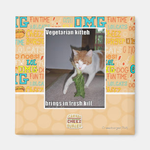 Vegetarian Kitteh Magnet