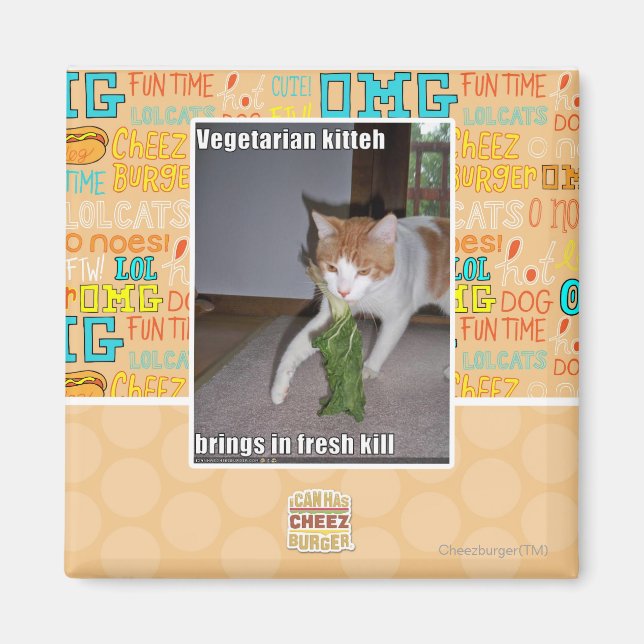 Vegetarian Kitteh Magnet (Vorne)