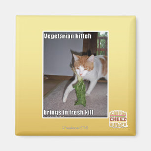 Vegetarian Kitteh Magnet