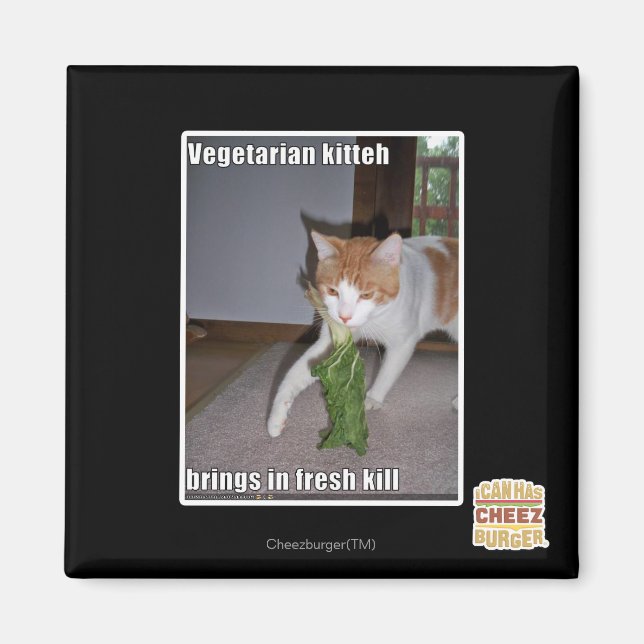 Vegetarian Kitteh Magnet (Vorne)