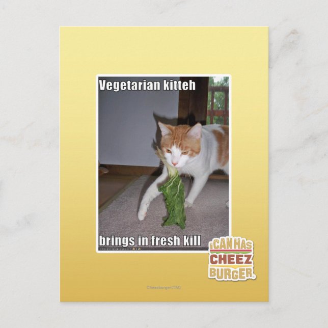 Vegetarian Kitteh Postkarte (Vorderseite)