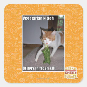 Vegetarian Kitteh Quadratischer Aufkleber