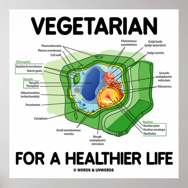 Vegetarier für ein gesünderes Leben (Pflanze Zell) Poster (Vorne)