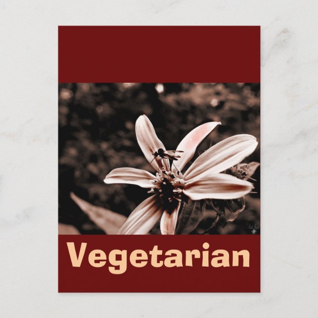 Vegetarier Postkarte (Vorderseite)