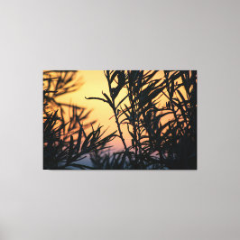 Vegetation bei Sonnenuntergang Leinwanddruck