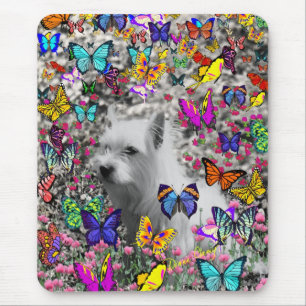 Veilchen in den Schmetterlingen - weißer Westie Mousepad