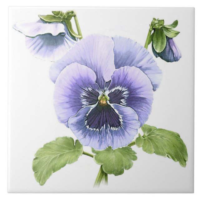 Veilchen Stiefmütterchen Blumen Botanische Kunst Fliese (Vorderseite)
