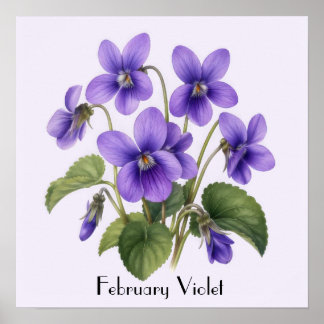Veilchenblüten im Februar Poster