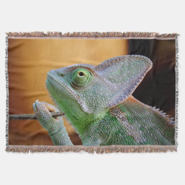 Veiled Chameleon Decke (Vorderseite)