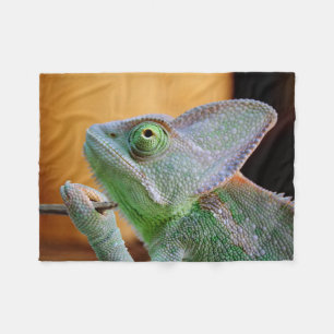 Veiled Chameleon Fleecedecke