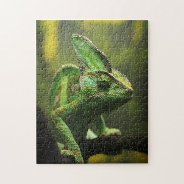 Veiled Chameleon jigsaw (Vertikal)