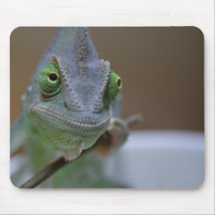 Veiled Chameleon Mousepad