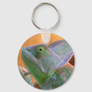 Veiled Chameleon Schlüsselanhänger