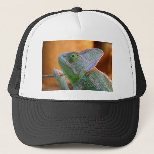 Veiled Chameleon Truckerkappe