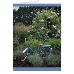 Vélo vintage dans le jardin