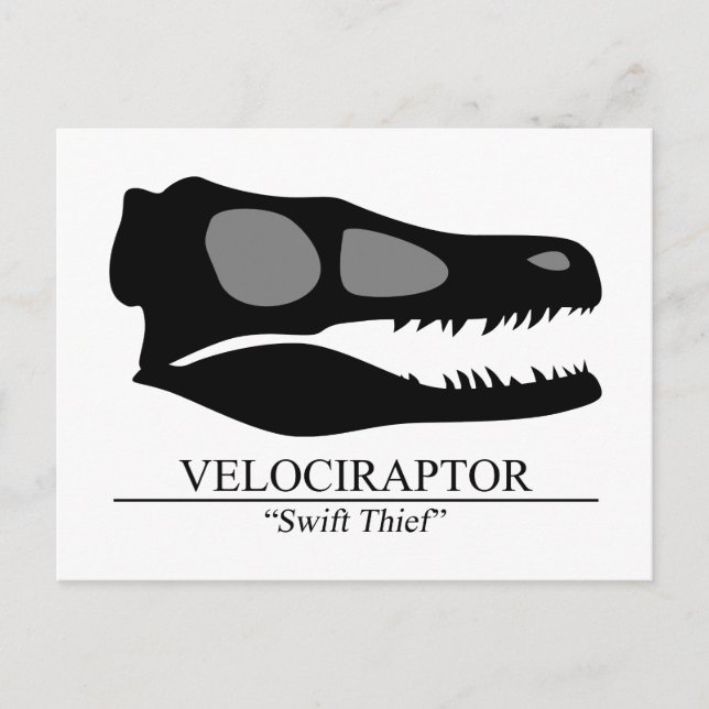 Velociraptor Skull Postkarte (Vorderseite)