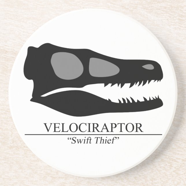 Velociraptor Skull Sandstein Untersetzer (Vorne)