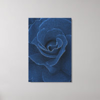 Velvet-blaue Rose