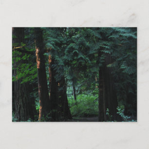 Velvet Forest Postkarte