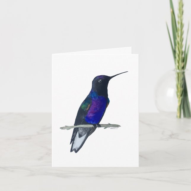 Velvet-lila Coronet Hummingbird-Karte Karte (Vorderseite)