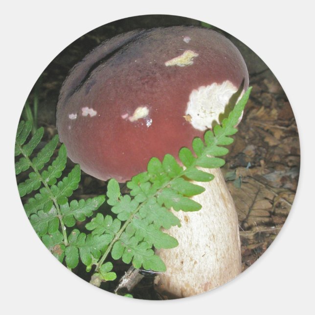Velvet Mushroom Stickers (Vorderseite)