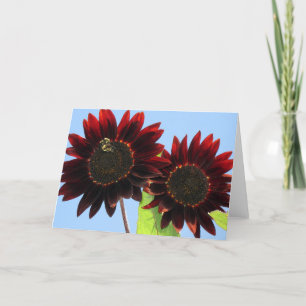 Velvet Queen Sunflowers Karte