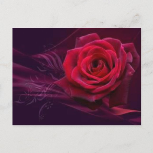 Velvet Rose Postkarte (Vorderseite)