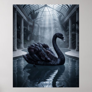 Velvet Swan Konservatorium Poster