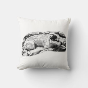 Velvet-Ton-Terrier, ruhend Kissen