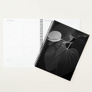 Venen eines Leaf Planer
