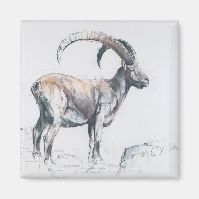 Venerando Stambecco Magnet (Vorne)