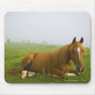 Venetien Italien 2 Mousepad